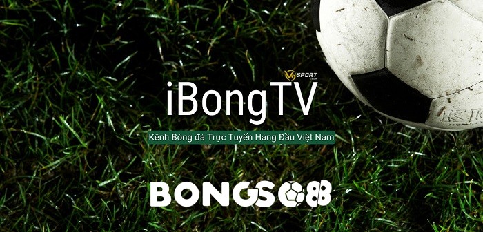 Xem bóng đá trực tiếp miễn phí tại ibongda tv