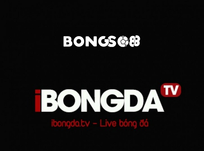 iBongda Tv là một trong những web xem bóng đá trực tiếp hoàn toàn miễn phí